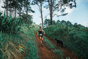 BIB: 
                            <button type="button" onclick="openModal(25653416)" class="btn btn-primary btn-sm float-right btn-popup" data-toggle="modal" data-target=".modal-high-quality">
                        <i class="fas fa-shopping-cart"></i> Add to Cart
                    </button>
                                            <button type="button" onclick="isThisMe(25653416, true)" class="btn btn-success btn-sm float-right btn-popup btn-isme hidden" data-toggle="tooltip" data-placement="bottom" title="นี่คือรูปของคุณใช่ไหม คลิกที่นี่เพื่อเอาเข้าอัลบั้ม">
                        <i class="fas fa-plus"></i> Add to album
                    </button>
                    <button type="button" onclick="isThisMe(25653416, false)" class="btn btn-warning btn-sm float-right btn-popup btn-isnotme hidden">
                        <i class="fas fa-ban"></i> Remove from album
                    </button>